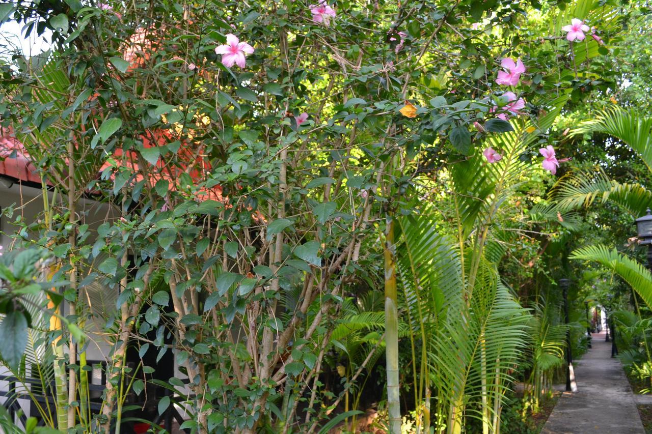 סיאם ריפ Nature Boutique Residence מראה חיצוני תמונה